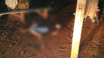Filho volta do trabalho e encontra mãe morta a facadas em baixo de arvore