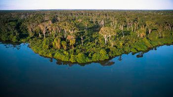 Projeto Juntos pelo Araguaia quer recompor áreas florestais
