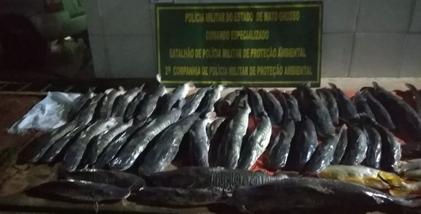 Polícia Ambiental apreende quase 650 kg de pescado próximo a Aldeia Tadarimana