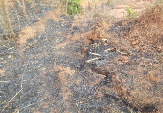 Bombeiros encontrar ossada humana durante incêndio em mata 