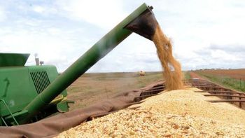 Previsão de safra recorde de grãos sobe e atinge 242 milhões de toneladas
