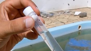Casos de dengue e chikungunya registram queda, mas atenção deve ser redobrada no período chuvoso