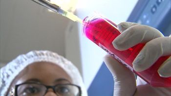 Paternidade tardia pode elevar risco de doenças para grávidas e bebês