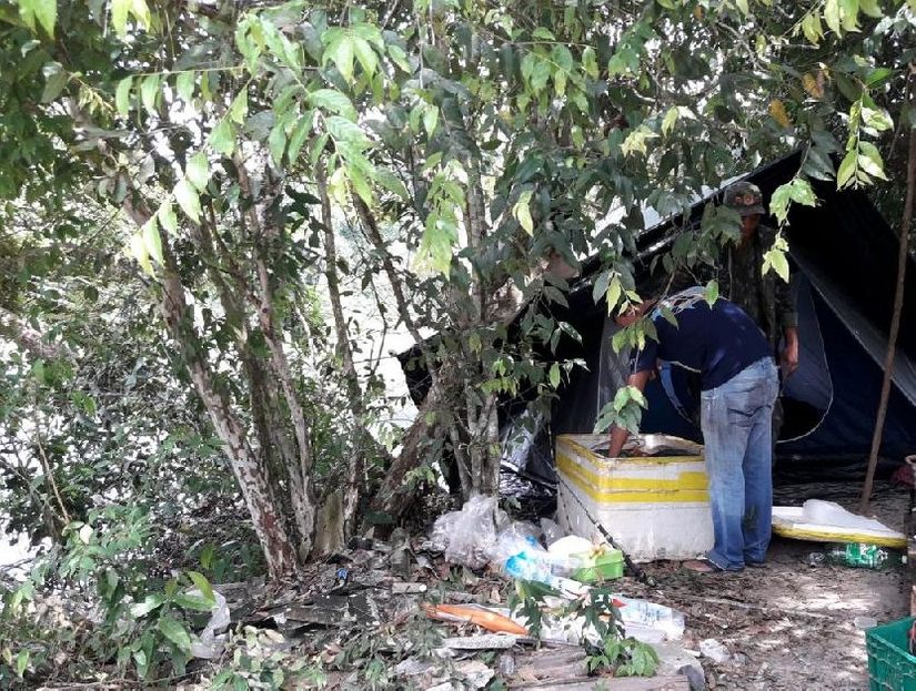Sema apreende 100 kg de pescado irregular