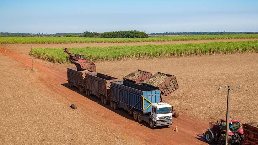 Produtores rurais podem renegociar débitos de auto de infração junto ao Indea