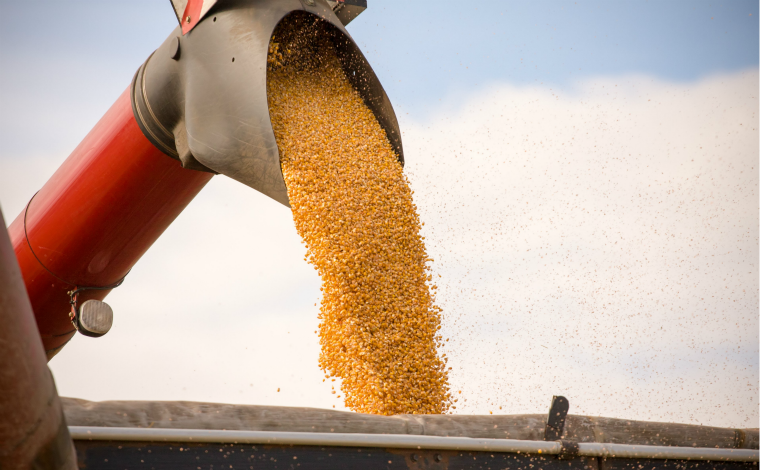 Brasil fecha safra 2018/2019 com recorde de 242,1 milhões de toneladas de grãos