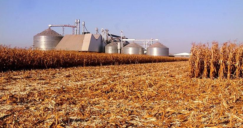 FCO Rural ainda tem R$ 246 milhões para crédito para o agronegócio