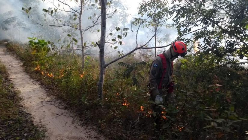 Queima prescrita é utilizada para evitar grandes incêndios