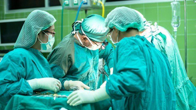 Brasil tem o maior sistema público de transplantes