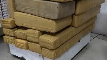Casal é preso pela PM com 29 kg de maconha em residência