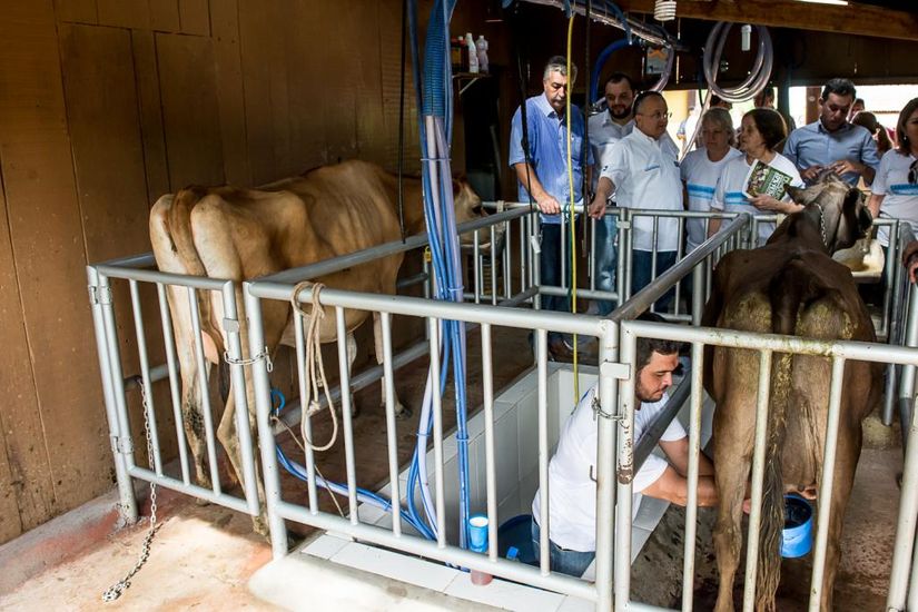 Taques destina R$ 2 milhões para agricultura familiar da região Oeste