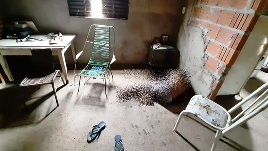 Corpo de homem é encontrado em estado de decomposição na zona rural em MT