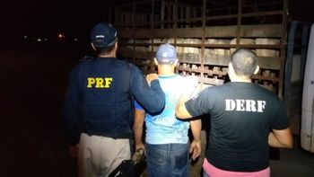 Homem é preso após furtar 16 bezerros de fazenda