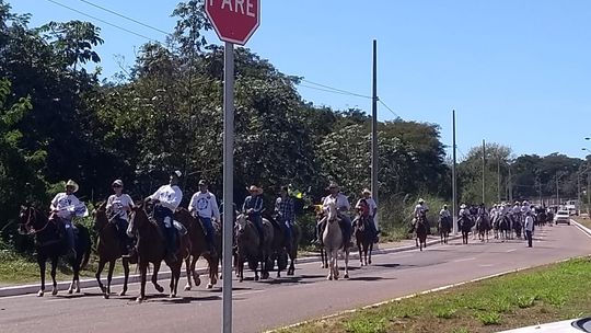 Projeto que regulamenta provas equestres em Mato Grosso é aprovado