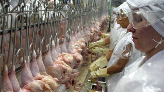 Governo brasileiro lamenta decisão da China sobre exportação