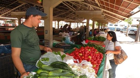 AL fará audiência pública para debater problemas da agricultura familiar
