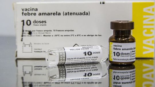 Febre amarela causa a morte de 14 pessoas em 2019, diz ministério