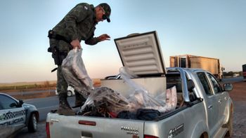 Polícia Ambiental de Rondonópolis apreende 162 kg de pescado irregular