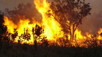 Número de focos de calor em MT tem redução de 20%
