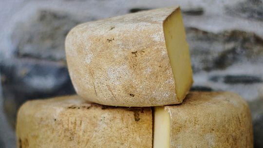 Qual o tipo de queijo mais saudável?