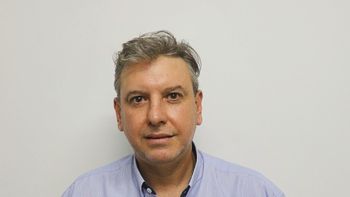 Evolução da pecuária de corte
