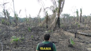 Fim do Fundo Amazônia pode afetar fiscalização do Ibama contra o desmatamento
