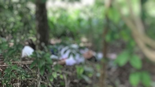 Homem é encontrado morto com pelo menos três tiros em região de mata 