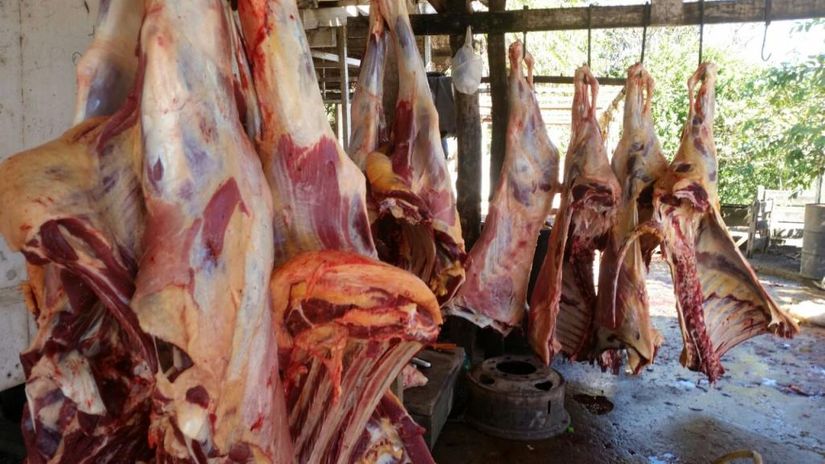 Mais de 500 quilos de carne são apreendidos em matadouro clandestino