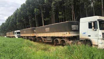 Bandidos roubam pneus de caminhões próximo a Rondonópolis 