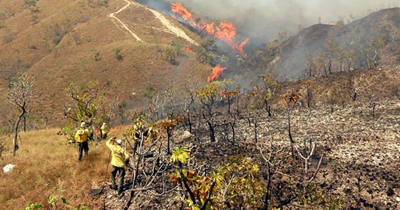 Comitê do fogo leva proposta de brigada mista para 28 municípios