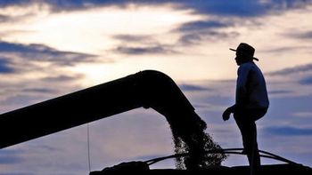 Ao TSE, maioria dos candidatos brasileiros se dizem agricultores