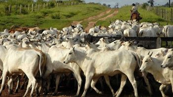 Concorrentes tentam ganhar espaço da JBS em Mato Grosso 