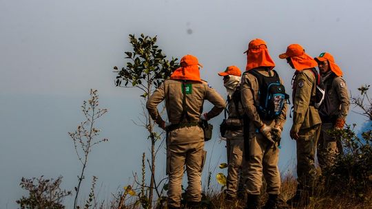 Seminário aborda produção de conhecimento científico sobre incêndios florestais