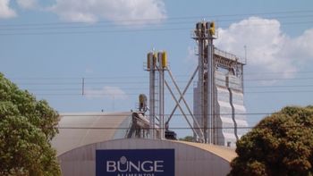 Bunge realiza leilão de equipamentos em Rondonópolis e região