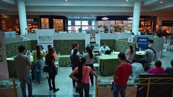 Feira da Empregabilidade cadastra mais de 800 candidatos