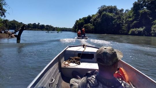 Sema resgata 12 tartarugas nas Regiões do Araguaia e do Xingu; 8 pessoas foram presas