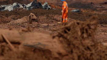 Três meses após tragédia de Brumadinho, bombeiros ainda buscam vítimas
