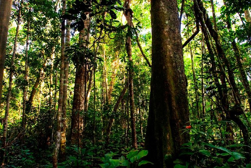 Delegação de MT debate mudanças climáticas em Madri