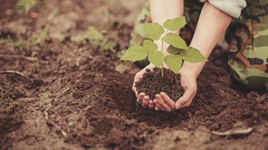 Senar abre mais de três mil vagas para o curso técnico de agronegócio