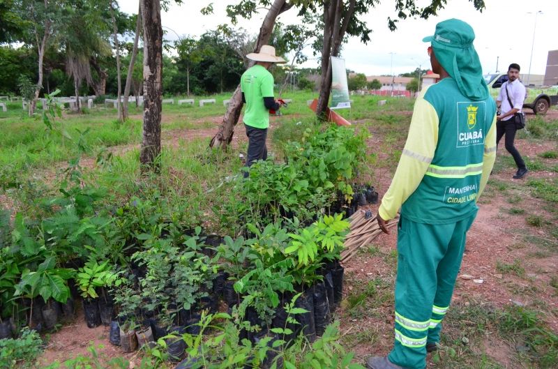 Mais de 500 mudas serão plantadas pelo Verde Novo neste sábado