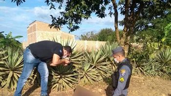 Homem é assassinado com 8 facadas e tem cabeça decapitada em MT