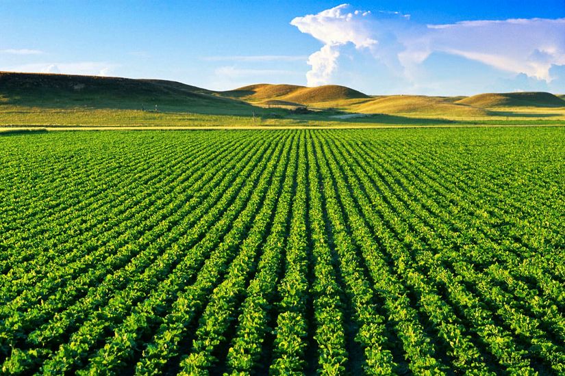 Balança do agronegócio tem melhor resultado desde 2014