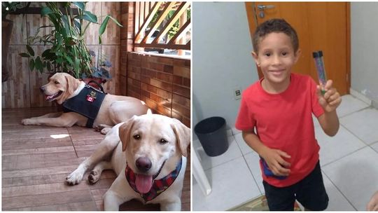 Cães farejadores são usados nas buscas por menino Samuel em Rondonópolis