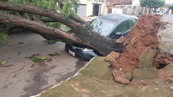Vendaval provoca estragos em Rondonópolis
