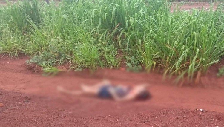 Mulher é encontrada morta com facada no pescoço em estrada de MT 