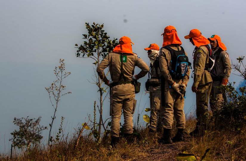 Seminário aborda produção de conhecimento científico sobre incêndios florestais