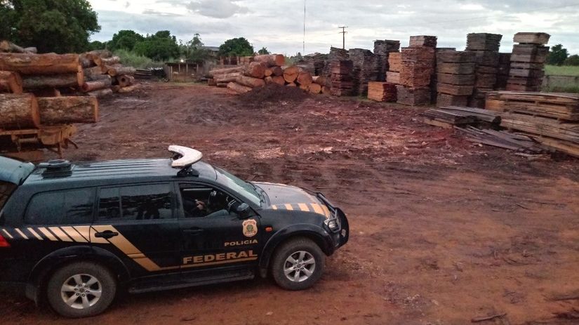 PF e Ibama deflagram operação contra organização criminosa que atua na extração ilegal de madeira 