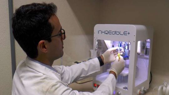 Pesquisadores brasileiros conseguem criar minifígado por impressão 3D