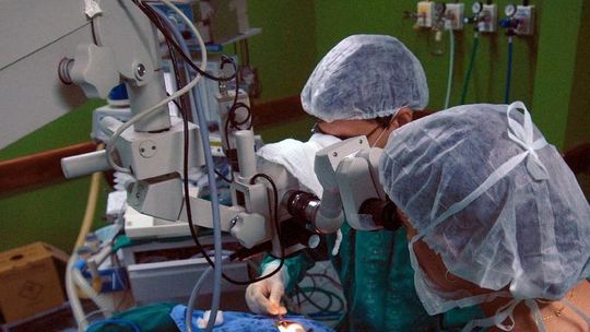Inca convoca doadores de medula óssea para atualizar dados cadastrais