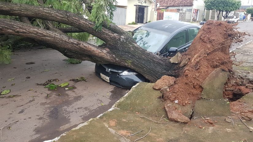 Vendaval provoca estragos em Rondonópolis